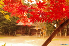 日長神社