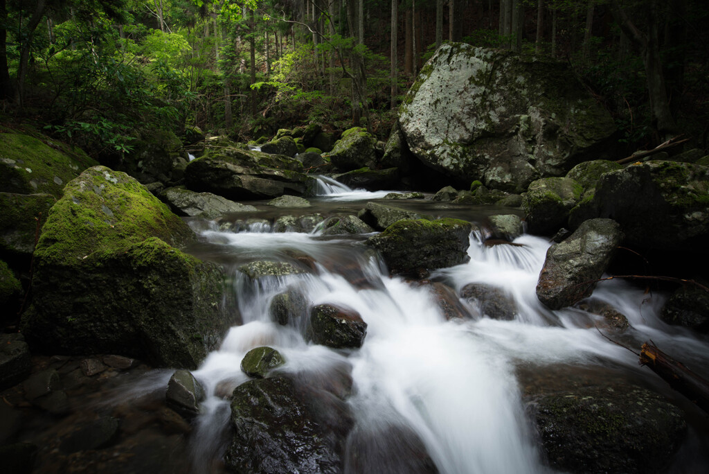 Small Stream in Sobura Kaizuka Osaka