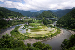 あらぎ島