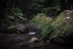 Small Stream in Sobura Kaizuka Osaka Jap