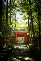 Red Gate in Inunaki-San Osaka Japan