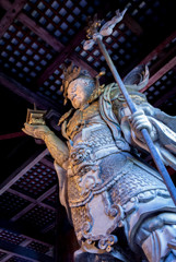 Defender of Budha's Order
