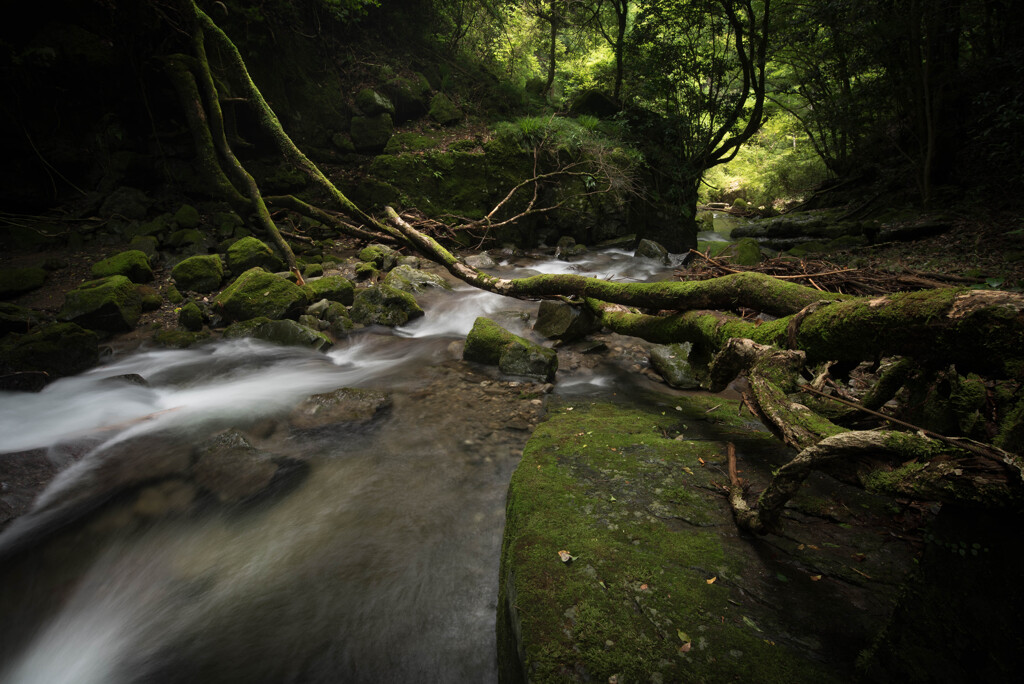 Small River Kawachinagano Osaka Japan