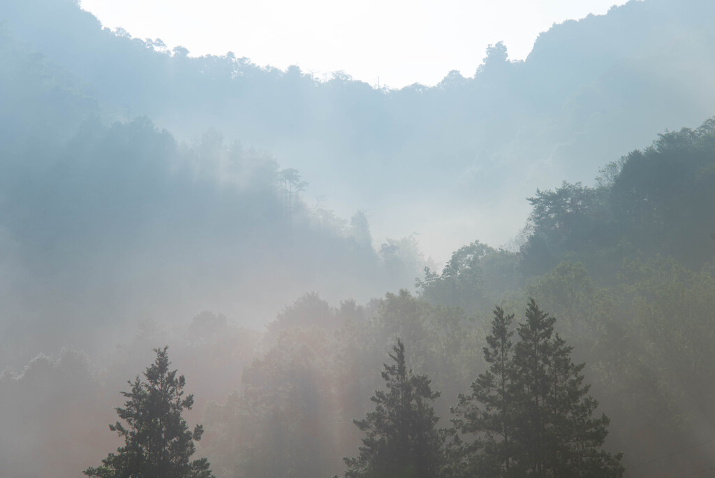 Morning light