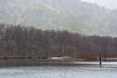 DSC_0045_00001