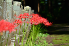 DSC_0029_00001