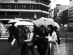 雨の日 横断歩道