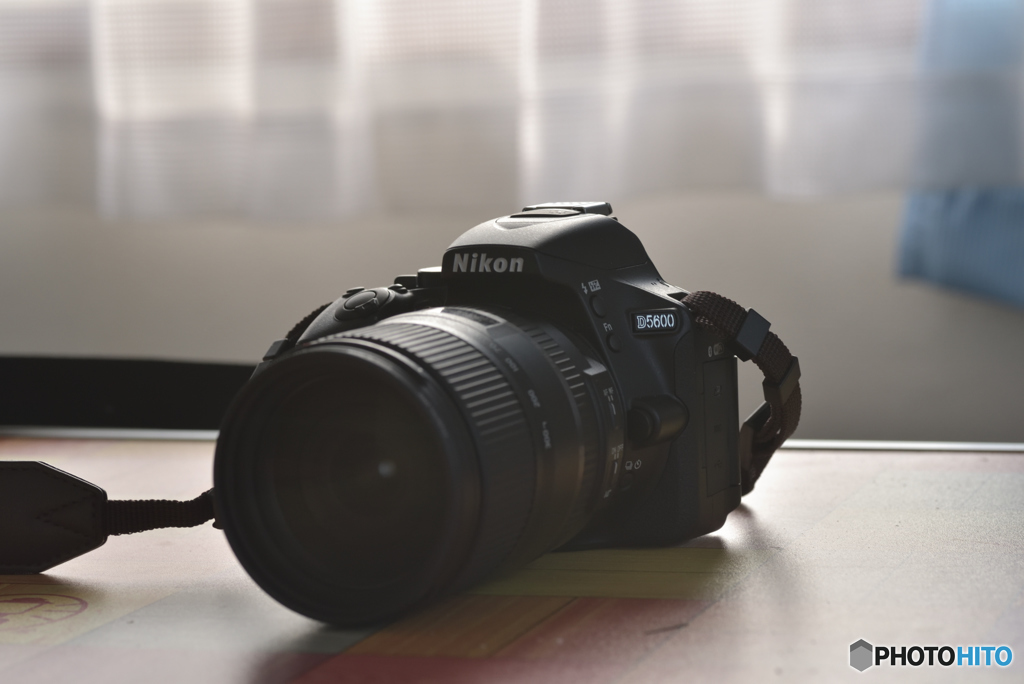 The Nikon D5600