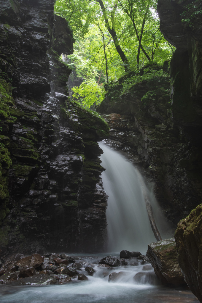 雨のスッカン沢