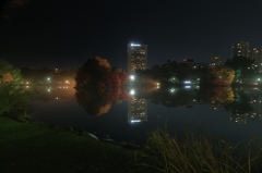Nakajima  Park