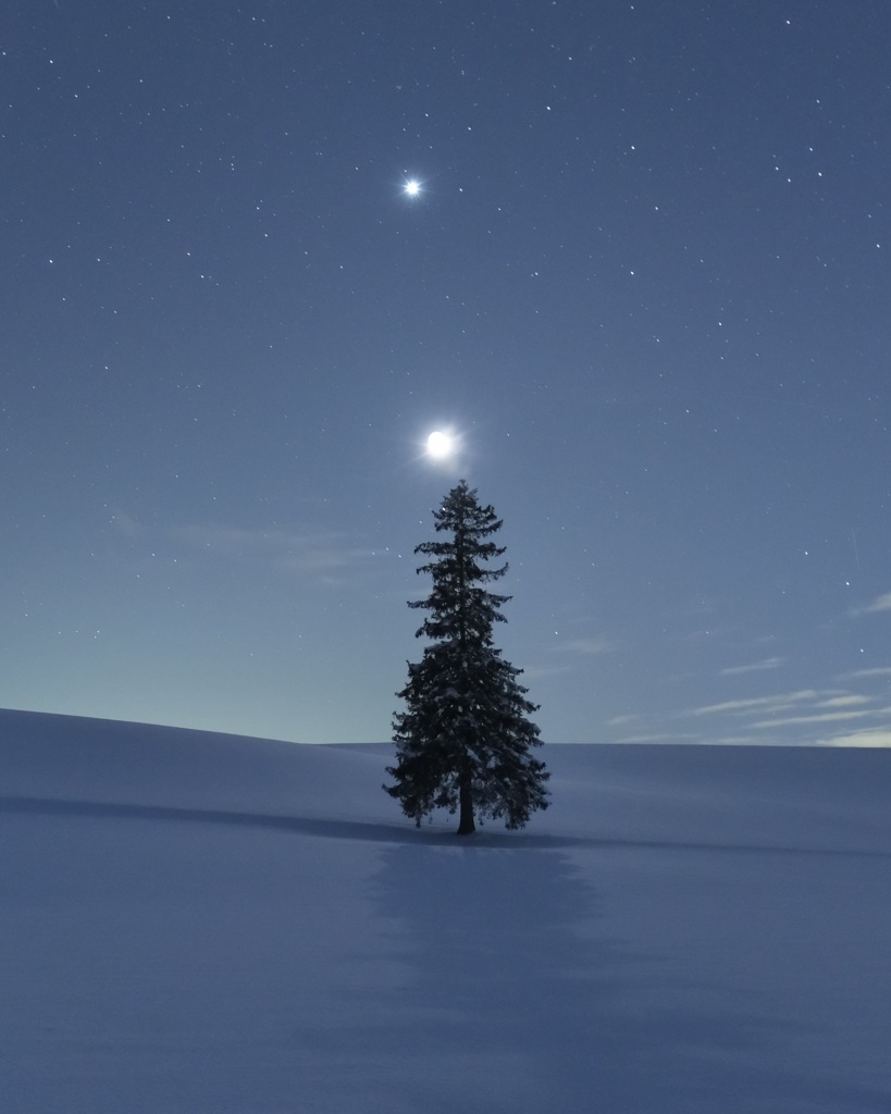 月夜なクリスマス