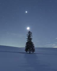 月夜なクリスマス