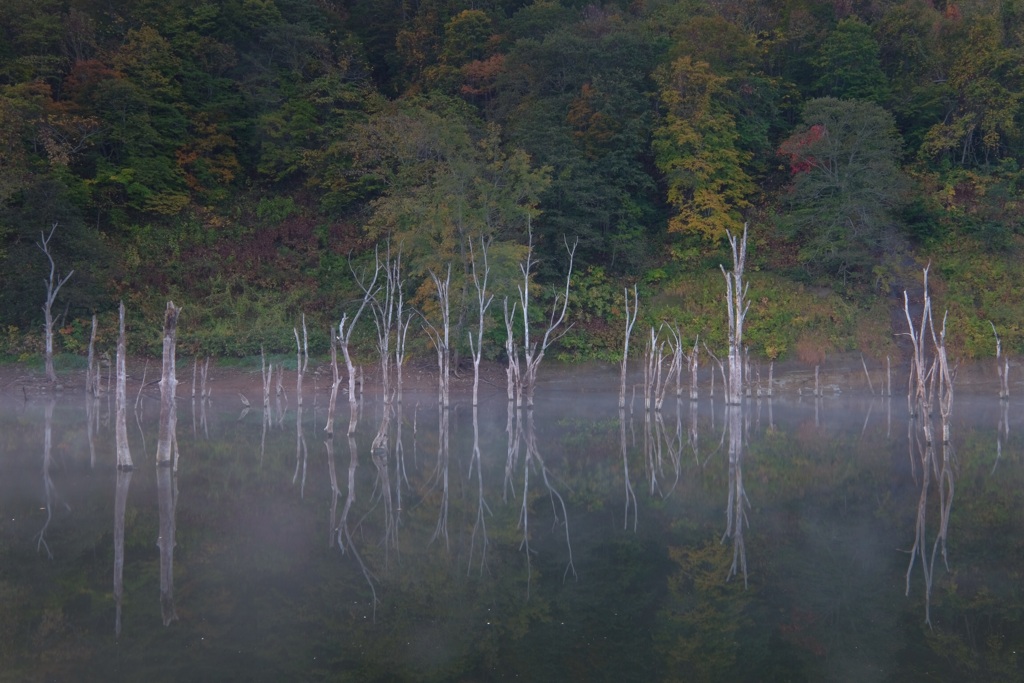 秋の気配