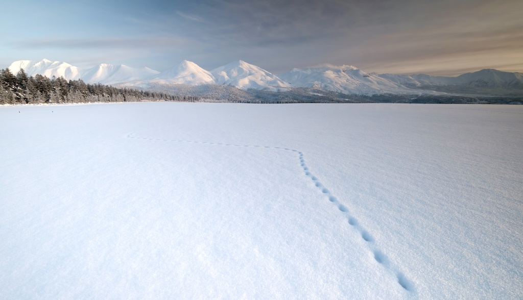 雪原の足跡