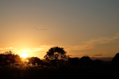 美唄の夕陽