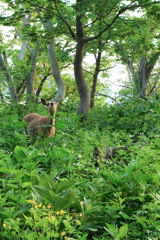 ご対面です
