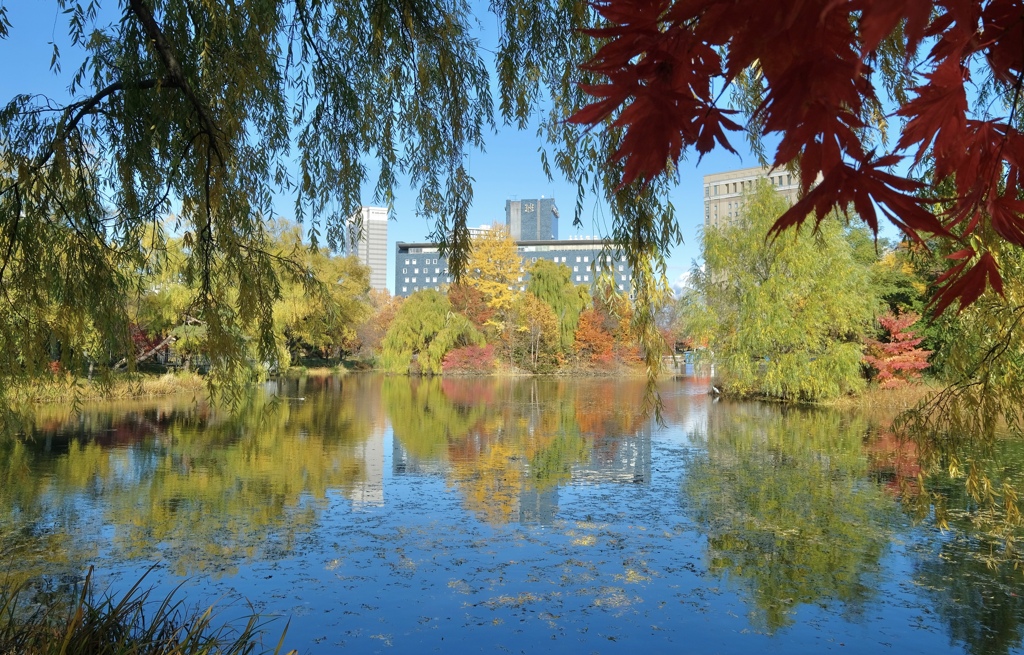 中島公園　紅葉