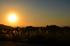 秋の夕日