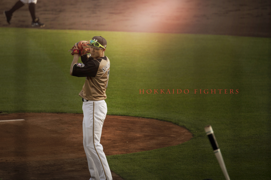 HOKKAIDO FIGHTERS