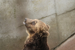 7914722C-21C7-4DEB-B957-E7D6812E0900