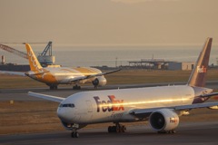 【FDX】Boeing 777-200F