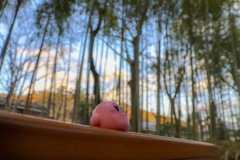 休憩中