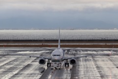 【ANA】Boeing737-800