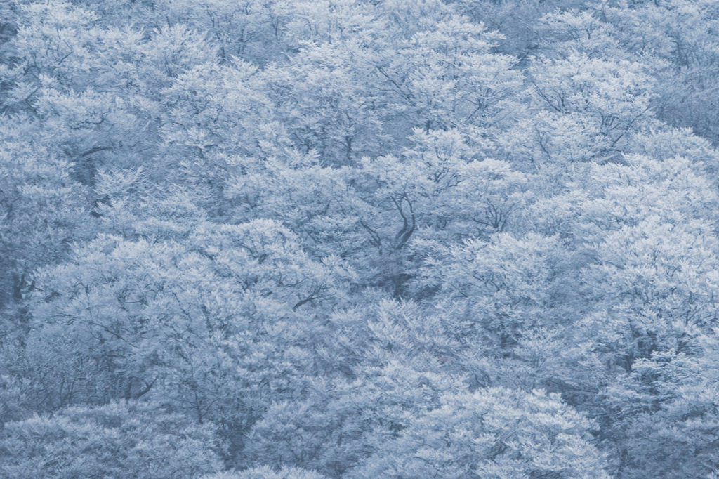 大山