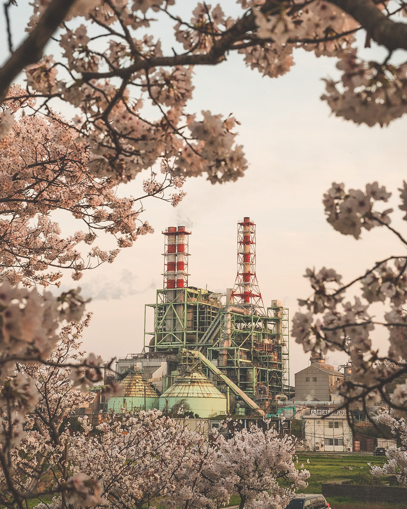 春の工場