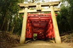 香川県 屋島寺