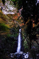 養老の滝