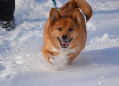 寒いがな‥けど、えー天気なのだ。