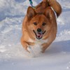 寒いがな‥けど、えー天気なのだ。