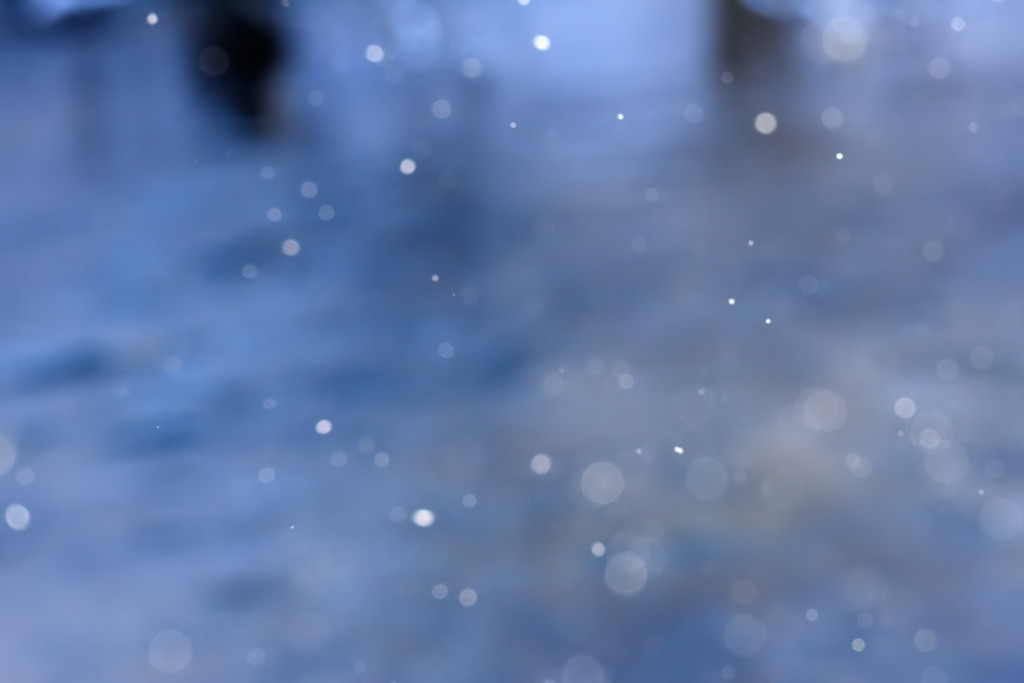 氷の花が降る朝