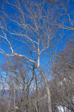 黒檜山の空