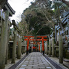 何処の細道