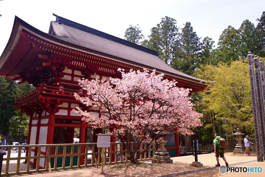 高野山　中門