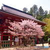 高野山　中門