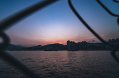 DSCF3981