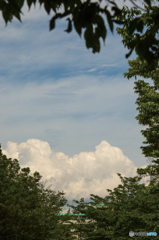 夏の雲