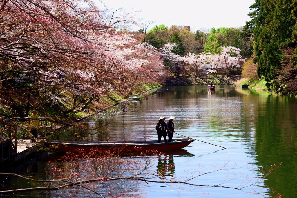 弘前公園