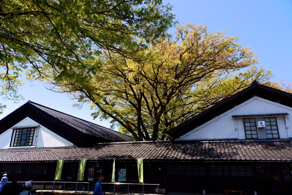 山居倉庫