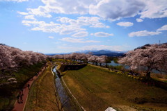 宮城県　一目千本桜