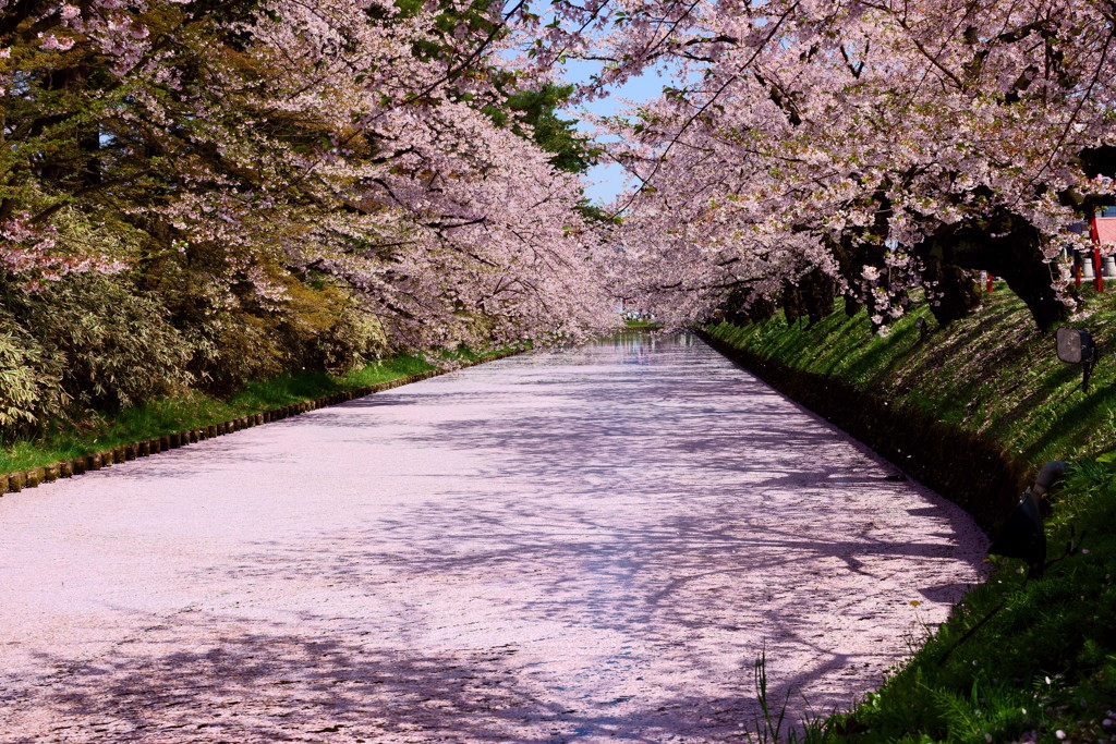 弘前公園