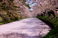 弘前公園