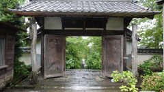 仙台市 資福寺の紫陽花
