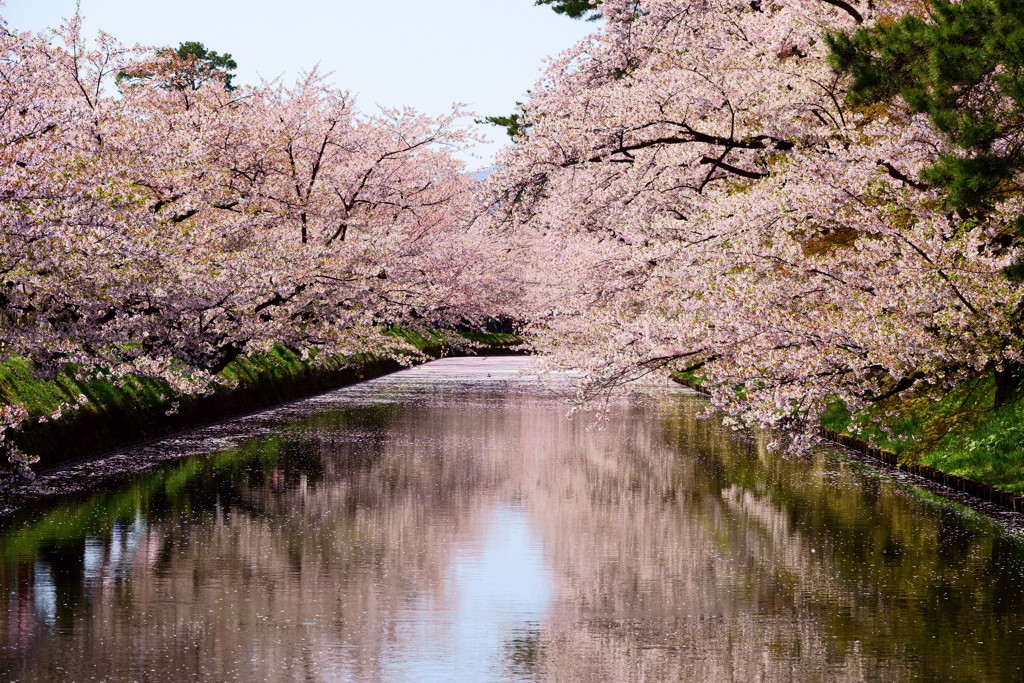 弘前公園
