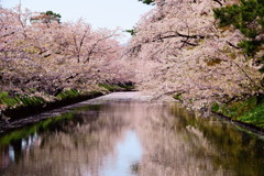 弘前公園