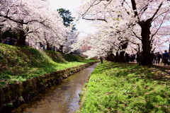 弘前公園