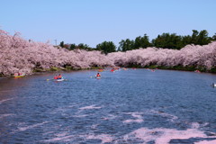 弘前公園